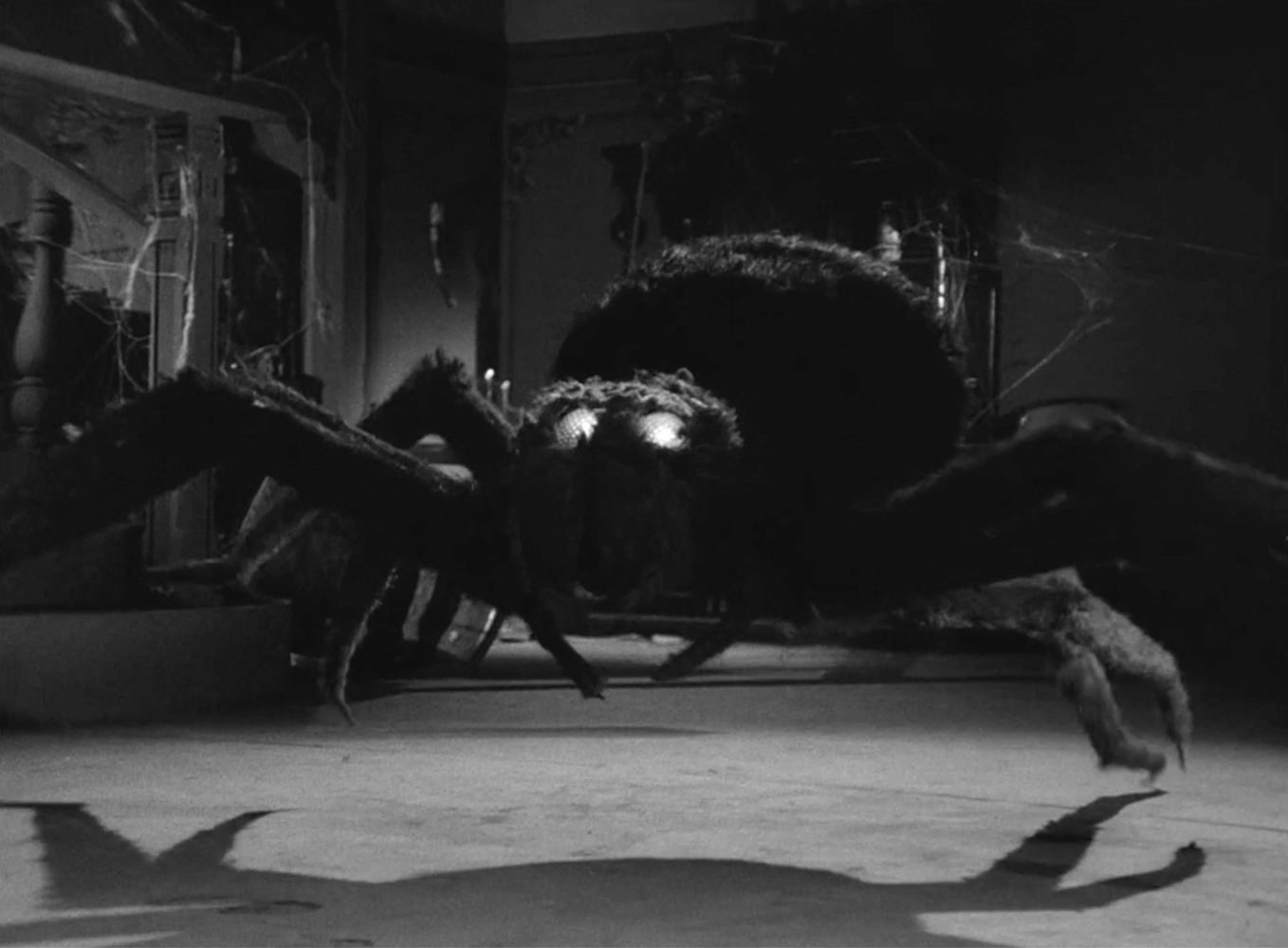 Ultra Q Baron Spider giant spider