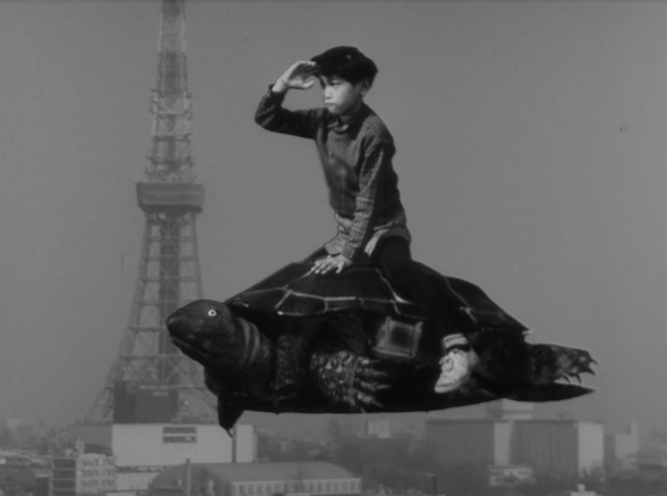 Ultra Q Grow Up Little Turtle 2