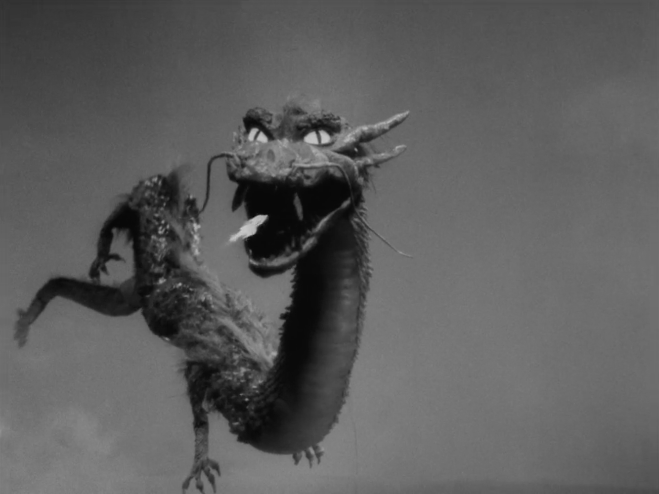 Manda as dragon in Grow Up Little Turtle