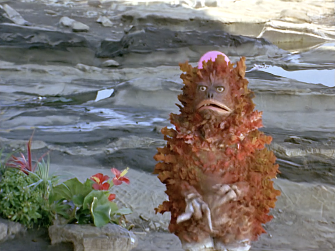 Pigmon in Monster Anarchy Zone from Ultraman